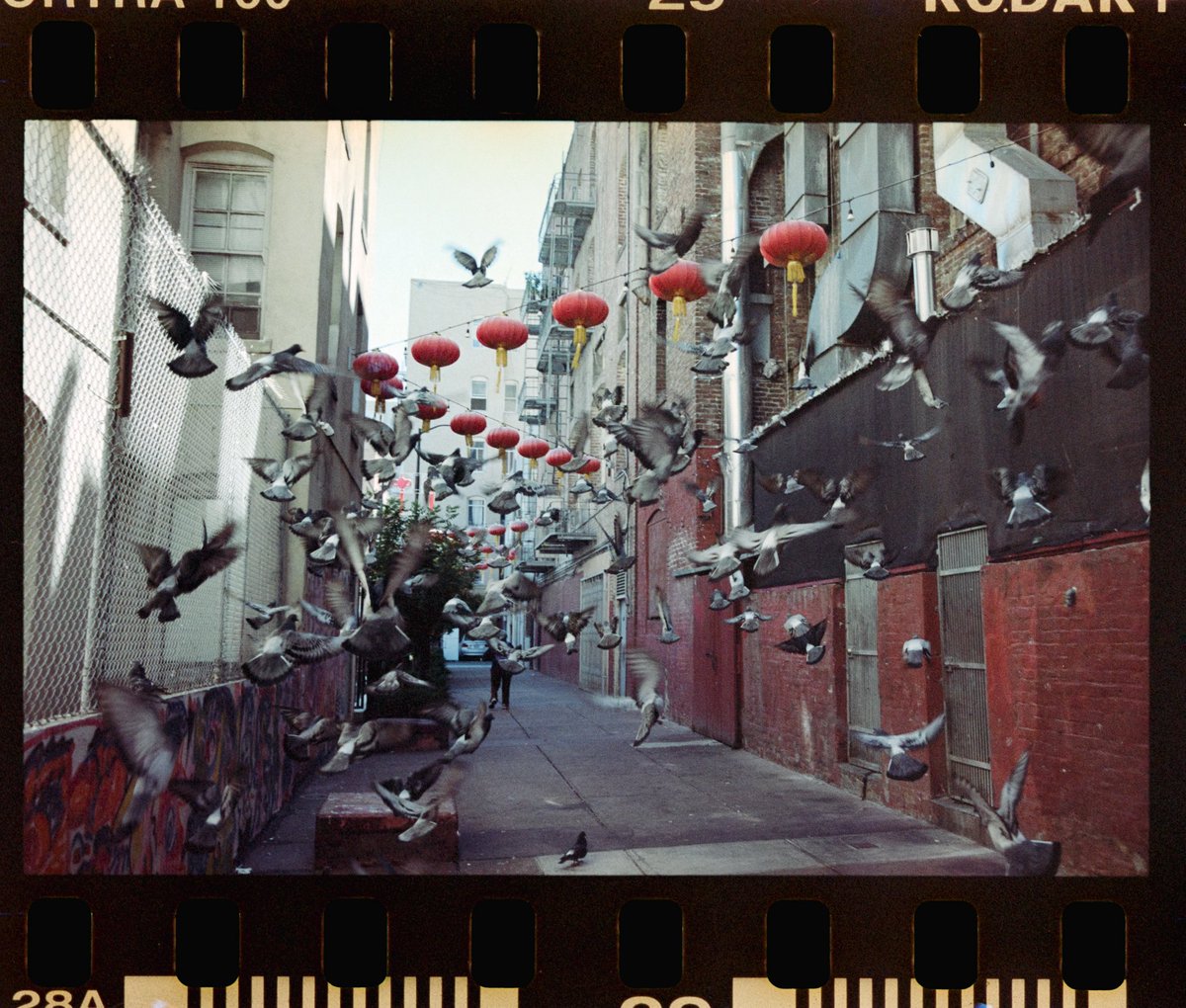 Portra 400

Keep the edges or no?