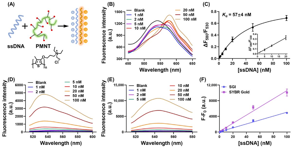 Biosensors_MDPI's tweet photo. 📣Call for Reading:
#Article
A Label-Free, Mix-and-Detect ssDNA-Binding Assay Based on Cationic Conjugated Polymers
by Pengbo Zhang, et al.
https://t.co/XGvKIWymBo
#LabelFree #ssDNA #ConjugatedPolymers #assay
#biosensors #openaccess #mdpi https://t.co/5ZxIuWruY4