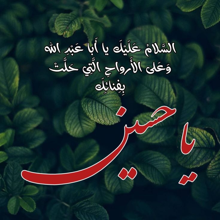 ابو حسين (@hsynabw83195) on Twitter photo 