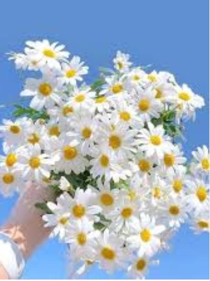 <a href="/sha_m292411/">SHA~Your Moon🇲🇾❤️🇹🇷~DM=BLOCK🚫</a> صباح النور