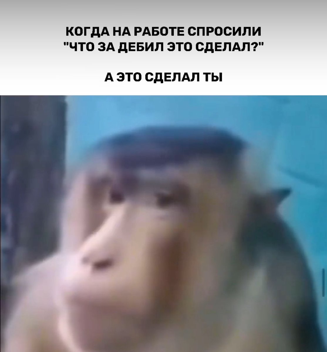 Сергей (@rotachs) on Twitter photo 