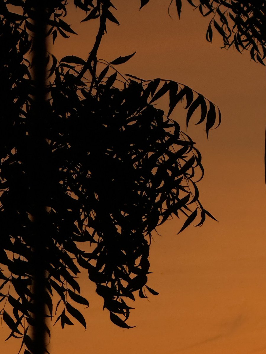 stfuakshhh tweet media