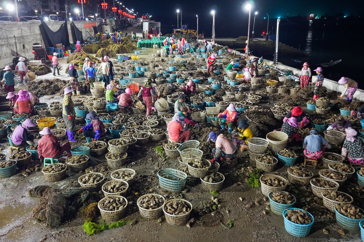 HolaFujian's tweet image. 😍 🦪 So tempting! 😋 
Right now, the 25,000,000 square meters of triploid oysters in Lianjiang, Fuzhou, are in their harvest season. These oysters are plump, juicy, and known as the "milk of the sea." What are you waiting for? Come and savor the freshness now! 😜 👍 😎
#Oysters
