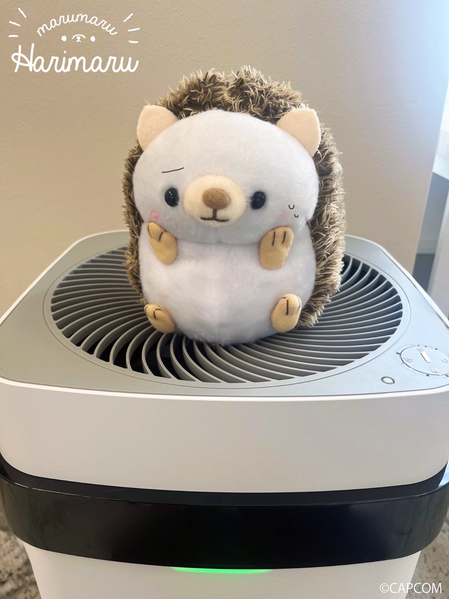 ooHARIMARU's tweet image. あつすぎて…
せんぷうきを どくせんして ごめんなさいーーー！！💦

＃はりまる🦔　＃まだ7がつなのに