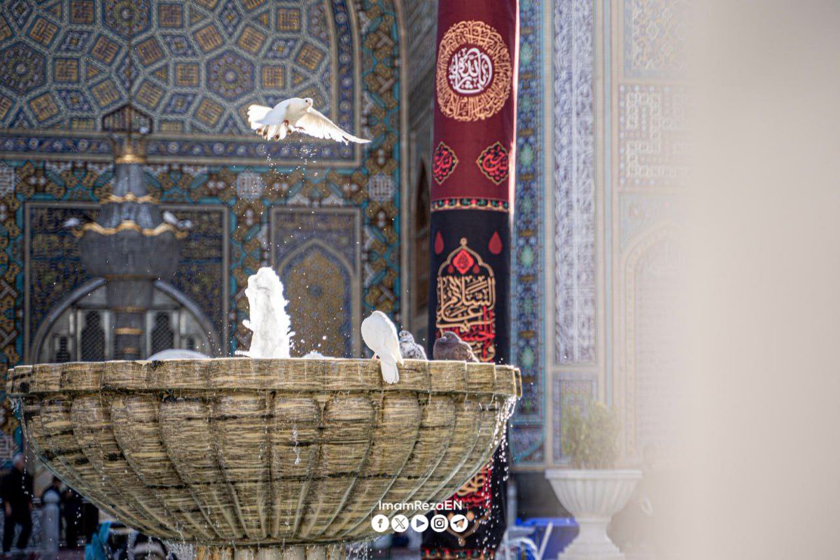 Whoever attempts a matter through disobedience to God will be more distant from what he hopes for and quicker to encounter what he fears.

Imam Hussain (as)

Bihar al-Anwar, vol. 75, p. 120