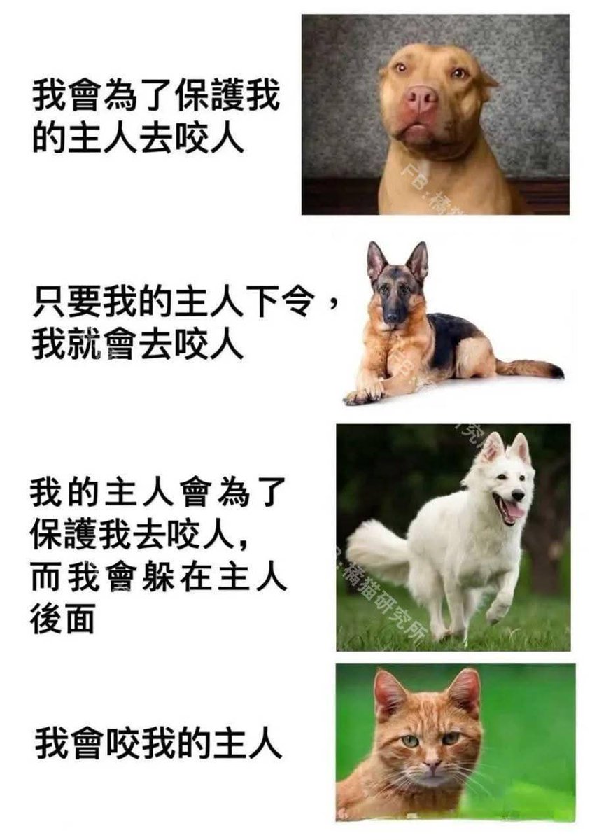🐈：你想當我的主人？