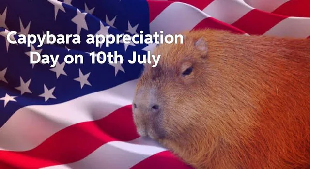 cbeachbrewer's tweet photo. Happy Capybara Appreciation Day!!!! #CapybaraAppreciationDay https://t.co/ecTki2Hazj