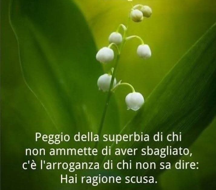 Buongiorno a tutti.