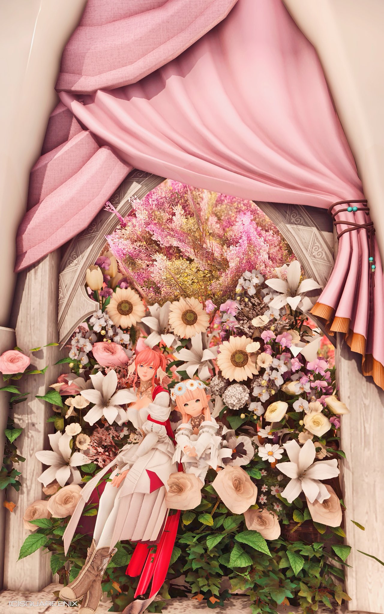 ❁ 𝙰𝚗𝚓𝚒𝚛 ❁ on X: 