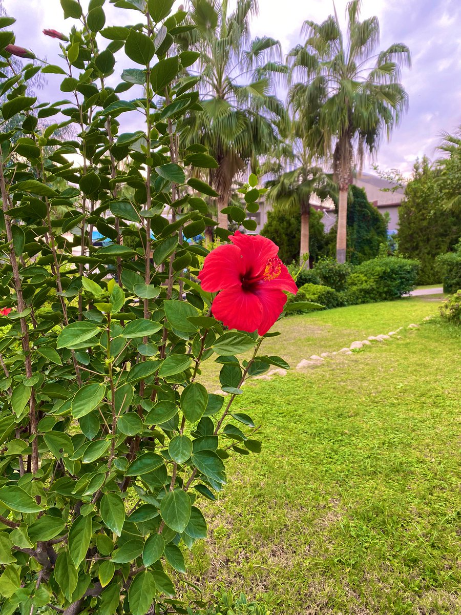 life_inframe's tweet image. #Serenity