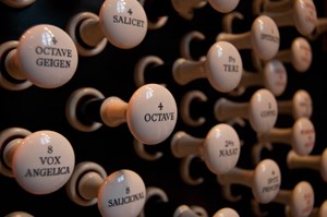 Join us this Sunday 13 July at 4:00 pm for another stunning performance in our Summer Organ Recital series🎶

Come and experience the breathtaking sound of the Organ in the beautiful surroundings of Liverpool Cathedral. It's the perfect way to spend Sunday - and completely free