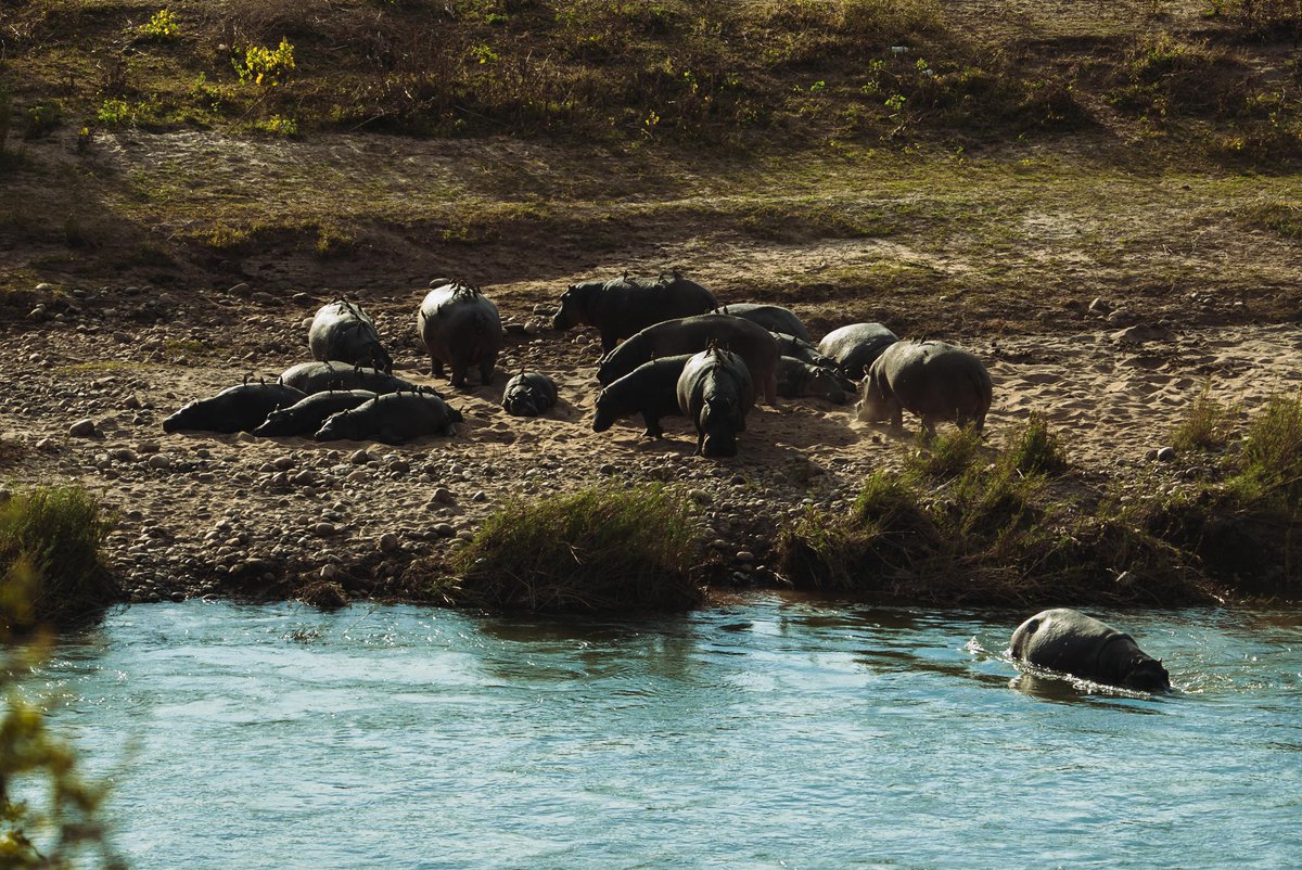 Some pics from our new adventure in South Africa! #progettohappiness