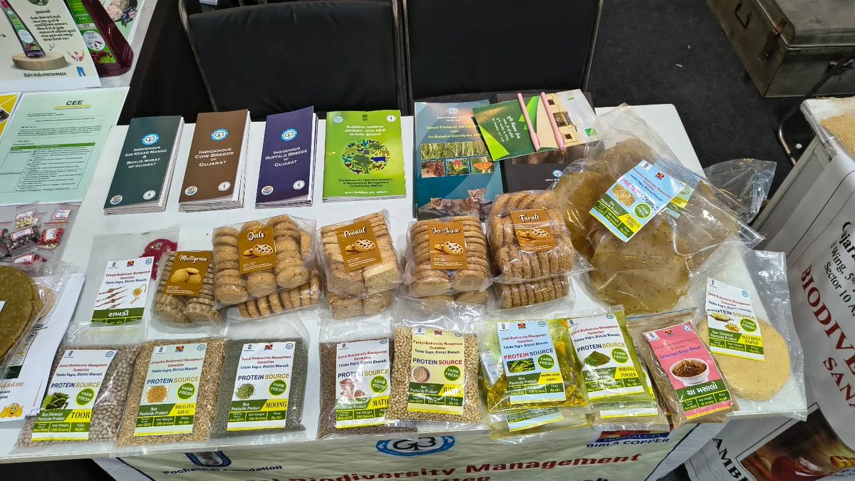 GujBiodiversity's tweet photo. Gujarat Biodiversity Board proudly received the Best Stall Award at the Samridh Gujarat Mega Exhibition held at S P Bhavan, Ahmedabad. 
Visitors appreciated the unique display of traditional knowledge, local bioresources, and conservation practices promoted across the state. https://t.co/mSgOPIt7IZ