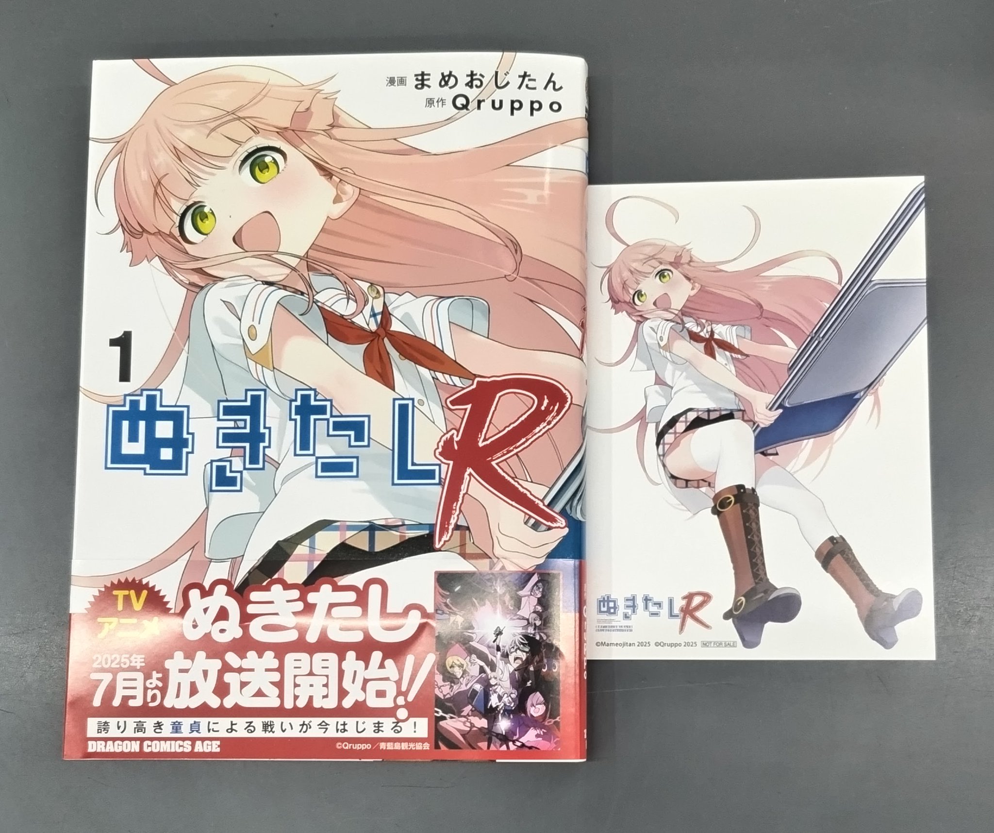 ぬきたしR 1 店舗購入限定版 タペストリー クリアファイル Qruppo ぬきたしR 1 店舗購入限定版 タペストリー クリアファイル