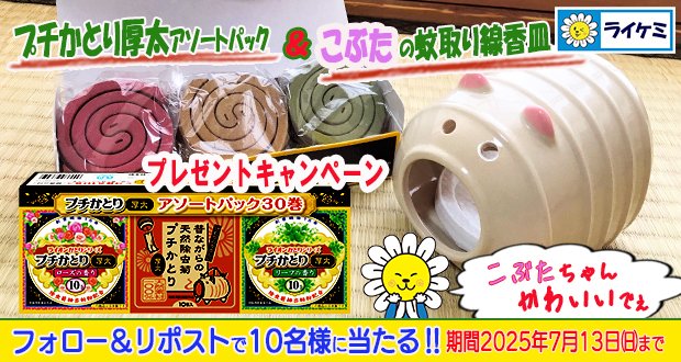 lionchemical's tweet photo. ／
ライケミ 蚊取り線香🦟 プレゼントキャンペーン
＼
この投稿をフォロー＆リポストするだけで🔟名様に
3種の香りが楽しめる『プチかとり厚太 アソートパック』と『こぶたの線香皿』が1⃣セット当たる🥰

応募方法
①@lionchemicalをフォロー
②7/13（日）23:59までにこの投稿をリポスト https://t.co/KDwzgTfNTi