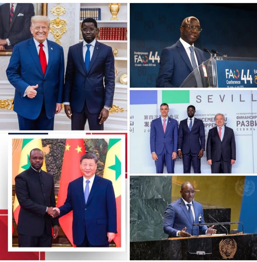 Comme on dit « petit à petit l’oiseau fait son nid »⏳🇸🇳❤️