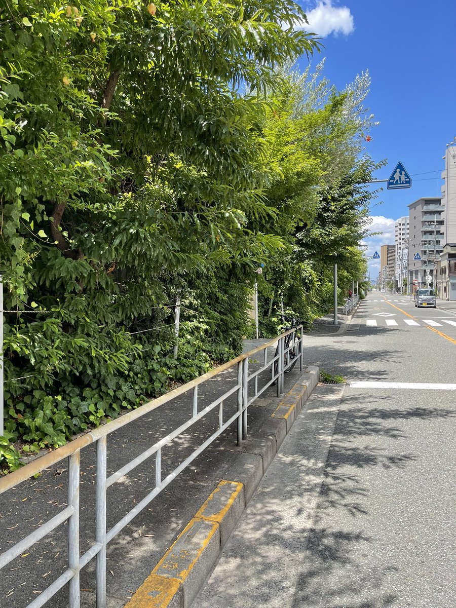 KO_NOTOFFICIAL's tweet photo. お外に出たついでに、KOのDVDでよくロケ地になってる道路を撮ってきました！

ところで、皆さんはAVの冒頭インタビューやストーリーシーンはちゃんと見る派ですか？それとも飛ばす派ですか？？

平社員は…いろいろ飛ばした後に見る派です💦 https://t.co/VKDarbBUsa