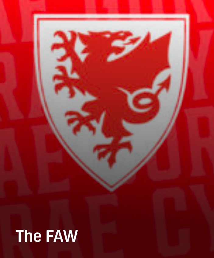 Link to <a href="/FAWales/">FA WALES</a> board appointments and their new strategic direction.  

Let’s hope safe, fair and lawful football for women &amp; girls is their top priority

faw.cymru/news/faw-offic…