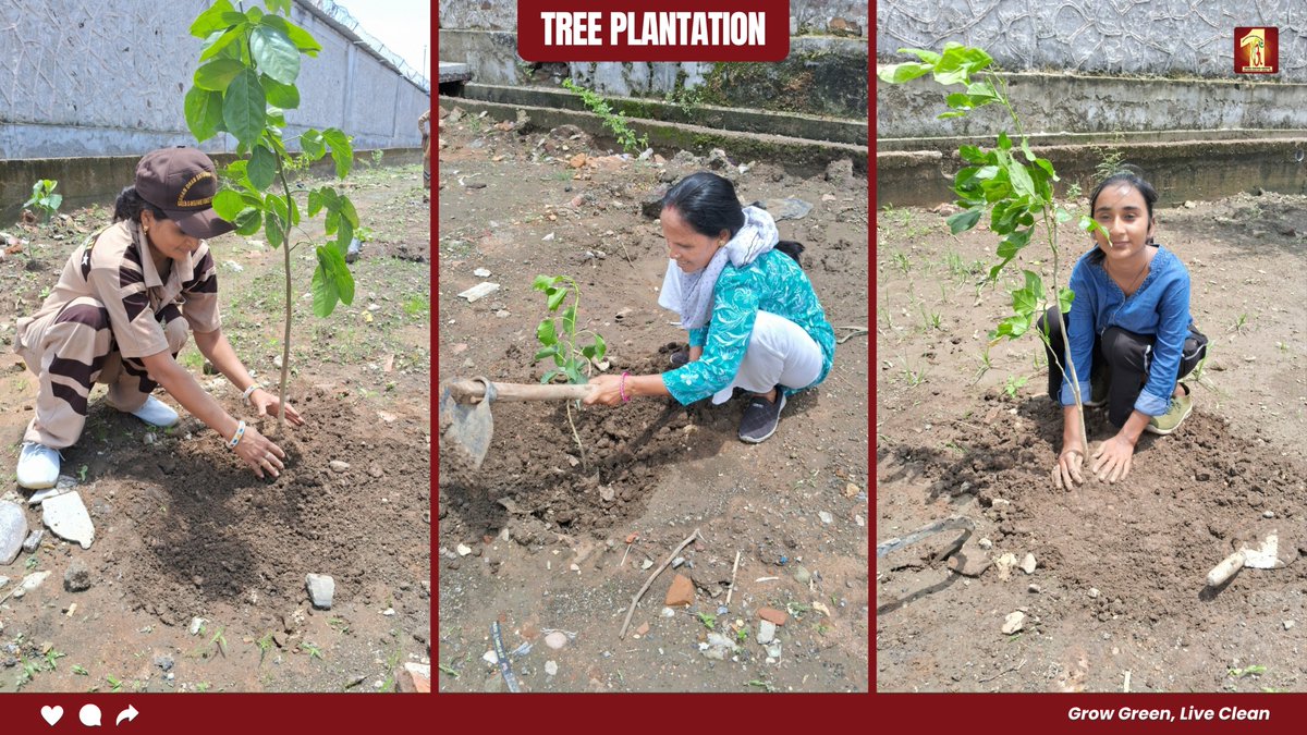 DSSNewsUpdates's tweet photo. Inspired by the divine teachings of Saint Dr. MSG, volunteers in Kota turned their concern for the environment into action. Each tree planted was a silent prayer for a greener future, a step toward healing the Earth with love, care, and selfless service.

#TreePlantationDrive #GreenInitiative #SaintDrMSG #EnvironmentalCare #DeraSachaSauda
