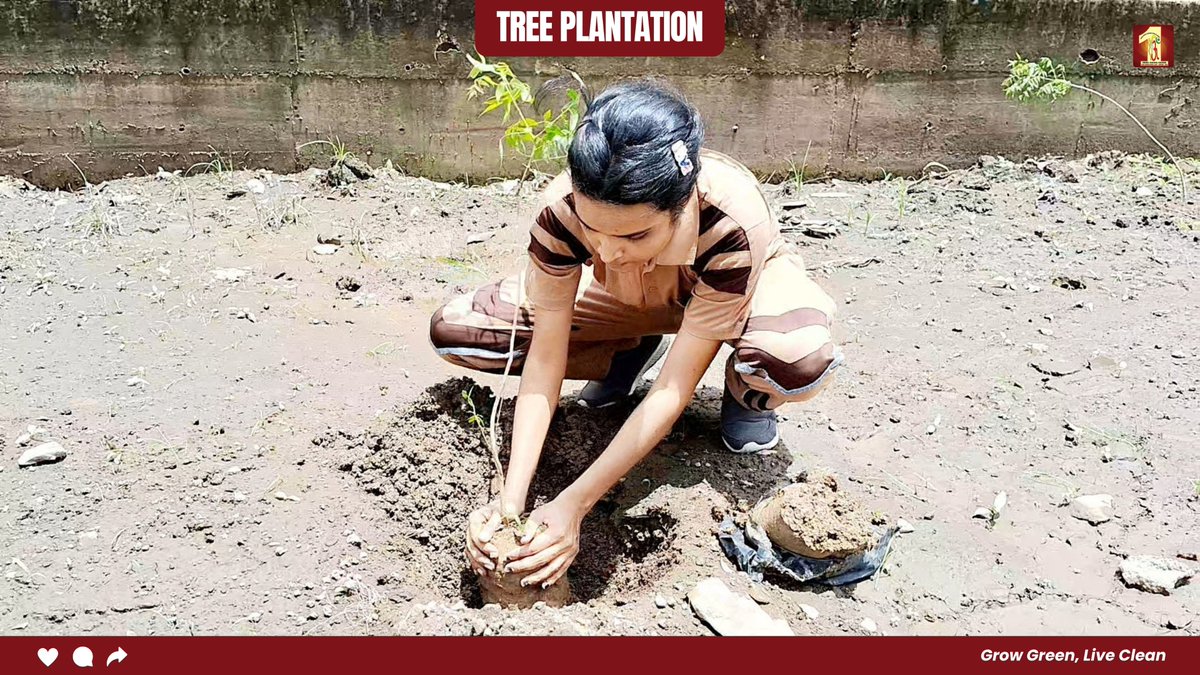 DSSNewsUpdates's tweet photo. Inspired by the divine teachings of Saint Dr. MSG, volunteers in Kota turned their concern for the environment into action. Each tree planted was a silent prayer for a greener future, a step toward healing the Earth with love, care, and selfless service.

#TreePlantationDrive #GreenInitiative #SaintDrMSG #EnvironmentalCare #DeraSachaSauda