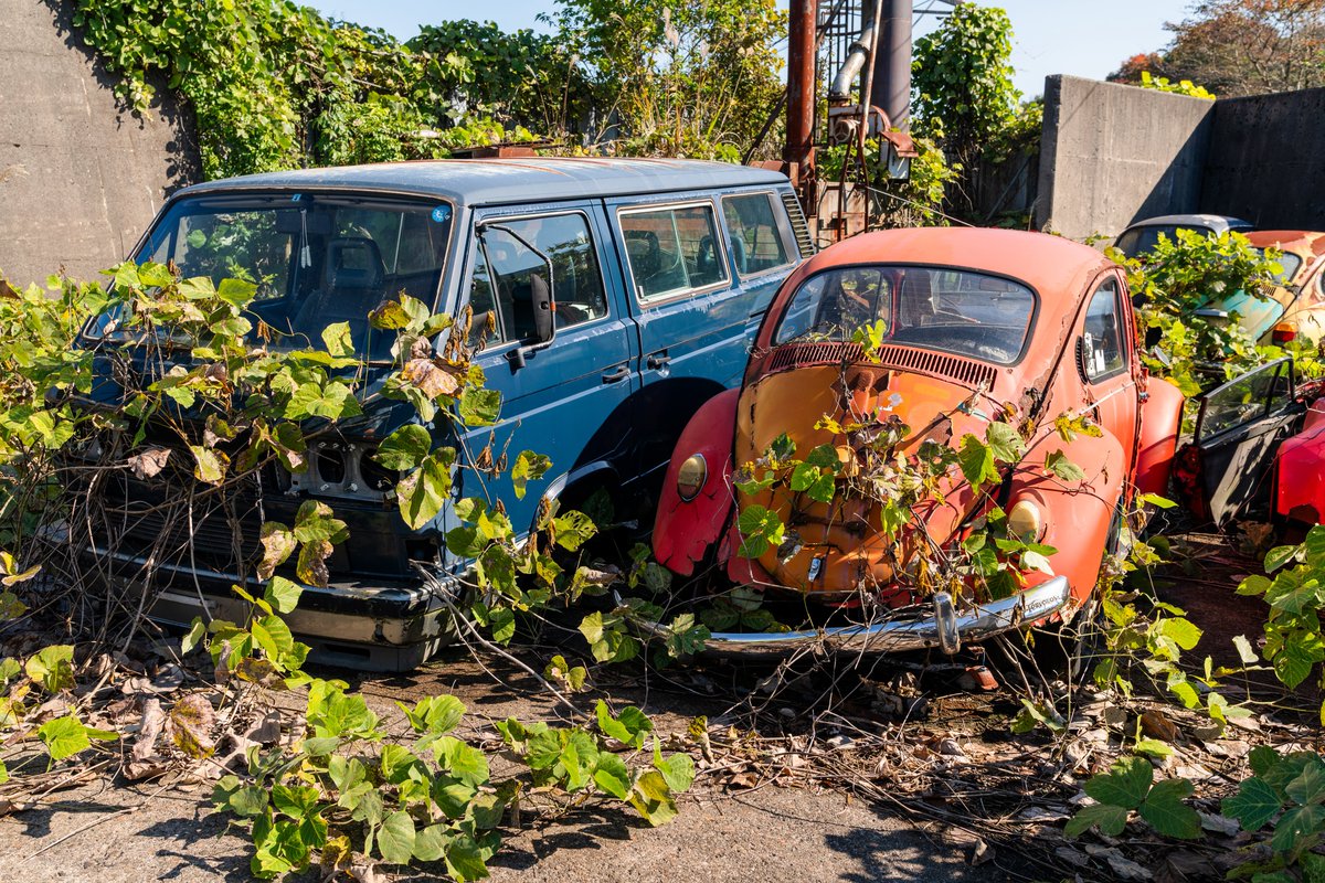 めっちゃ高そうな車がわんさか捨てられててやばい