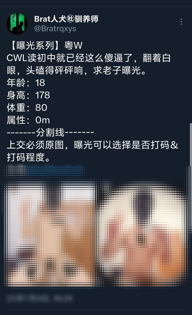 有没有喜欢被玩成无脑傻逼，然后被曝光，让全世界都知道你恶堕的样子