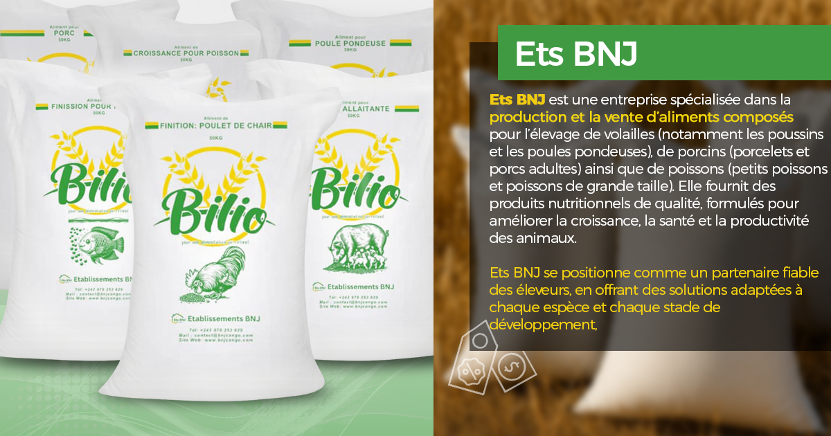 KivuTech tweet media