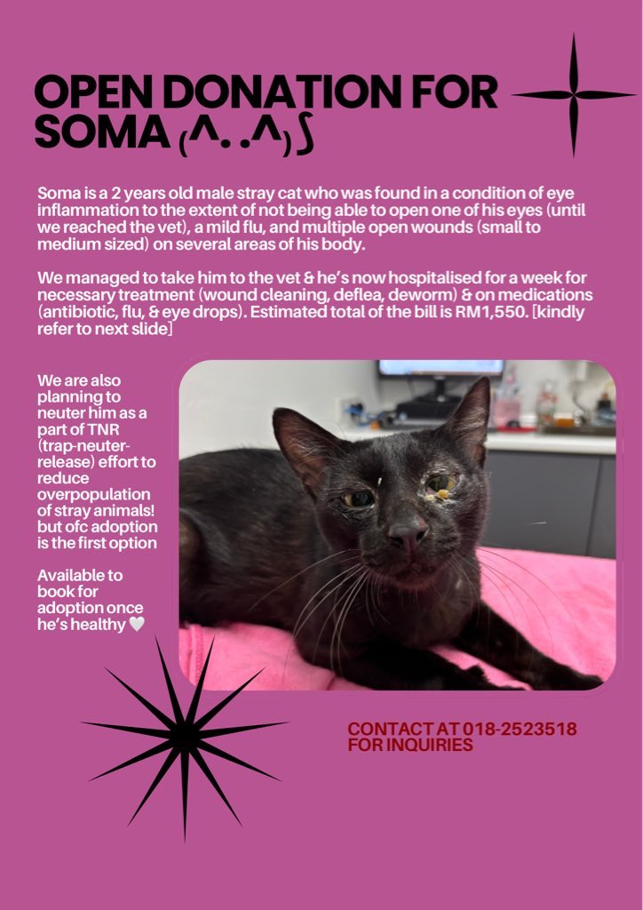 κ₯ (@luarbinari) on Twitter photo <a href="/athiliaazman/">ATHILICATS</a> <a href="/cats_rehome/">Kucing Terbuang</a> <a href="/fourmeows1/">fourmeows</a> <a href="/StrayFreeFndn/">Stray Free Foundation</a> <a href="/frdsh_/">F</a> <a href="/iA1iaaa/">alia π</a> <a href="/bells_sllh/">bel π</a> <a href="/claiiiirrrreeee/">πΉπ πππΆπΎπ</a> <a href="/C4TT000/">meow!</a> <a href="/dyannesweet/">Dyanne</a> <a href="/deeeanah/">dee π</a> <a href="/yemmeow/">emma</a> <a href="/kyril_graguks/">Kyrilescobar#Rakyat#Haiwan</a> <a href="/meeayusri/">π Meea</a> <a href="/ianyumeow/">ππββ¬π</a> <a href="/itsybitsymin/">min min π±</a> received a total of rm135. RM1415 left needed! thank you semuaa π€ <a href="/athiliaazman/">ATHILICATS</a> <a href="/cats_rehome/">Kucing Terbuang</a> <a href="/fourmeows1/">fourmeows</a> <a href="/StrayFreeFndn/">Stray Free Foundation</a> <a href="/frdsh_/">F</a> <a href="/iA1iaaa/">alia π</a> <a href="/bells_sllh/">bel π</a> <a href="/claiiiirrrreeee/">πΉπ πππΆπΎπ</a> <a href="/C4TT000/">meow!</a> <a href="/dyannesweet/">Dyanne</a> <a href="/deeeanah/">dee π</a> <a href="/yemmeow/">emma</a> <a href="/kyril_graguks/">Kyrilescobar#Rakyat#Haiwan</a> <a href="/meeayusri/">π Meea</a> <a href="/ianyumeow/">ππββ¬π</a> <a href="/itsybitsymin/">min min π±</a> received a total of rm135. RM1415 left needed! thank you semuaa π€