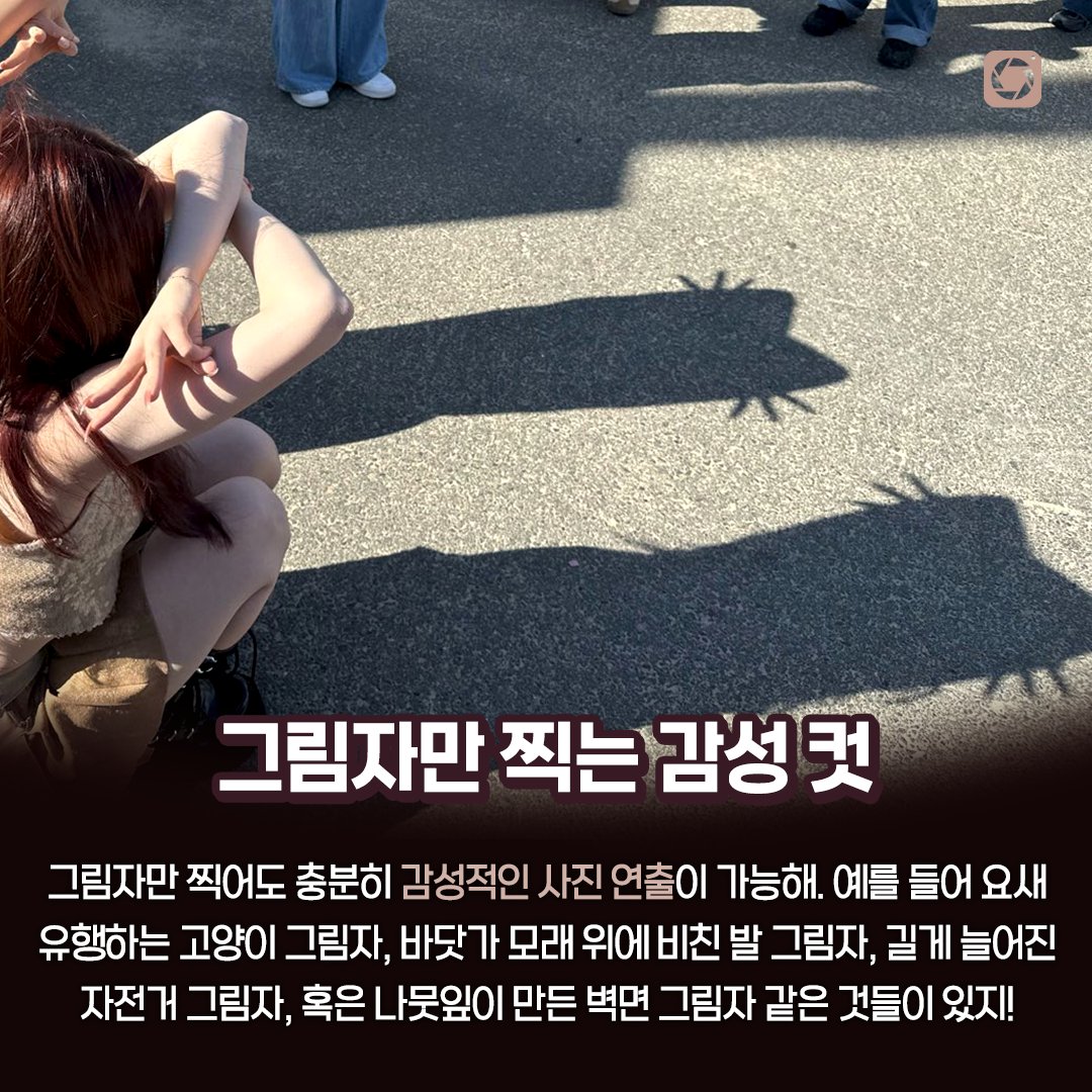 dicatoday's tweet photo. 강.력.한.태.양☀
이러다 녹아내릴 것 같은 더위에도 사진은 안 찍을 수 없자나... 강한 햇빛을 이용해서 감성 넘치는 사진이라도 건져보ㅈrヱ...☆
.
.
.
#여름 #감성사진 #여름감성 #일상 #고양이그림자 #고양이그림자챌린지 #그림자 #그림자사진 #더워 #날씨 #너무더움 #디카투데이 https://t.co/PEqRKKULN3