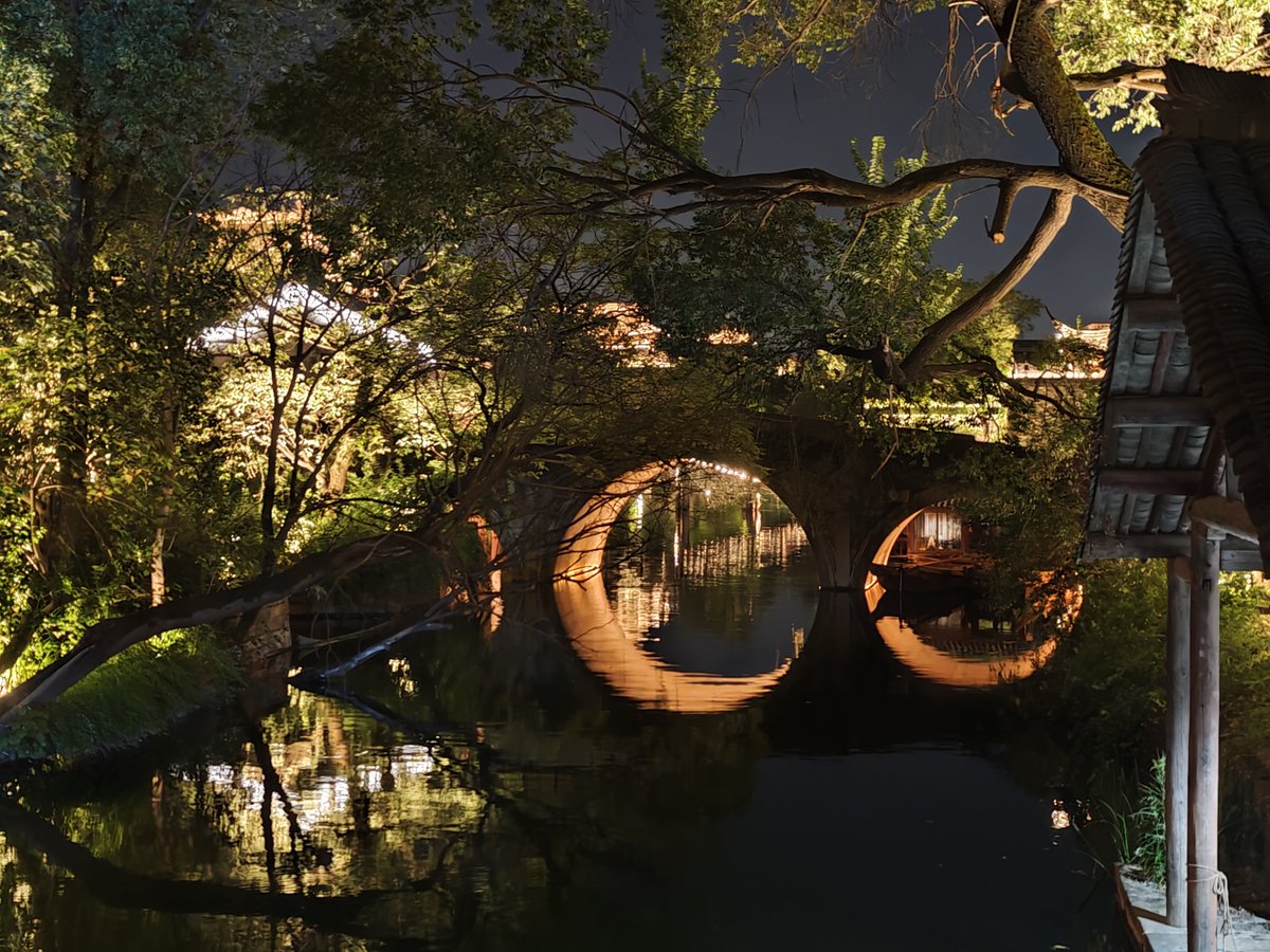 小糊涂 tweet media