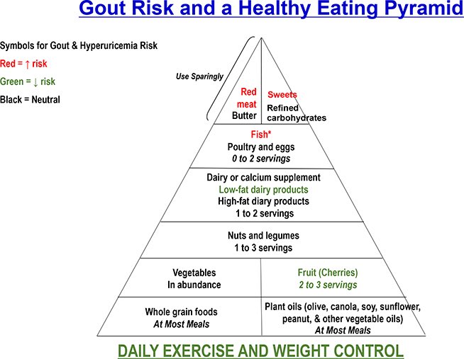 GOUT risk and a healthy eating pyramid

#Meded #MedX #GOUT #TIC2025