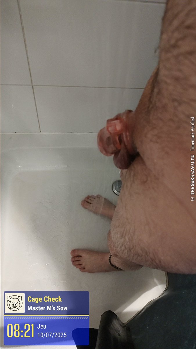 Meido (@manekimeido) on Twitter photo 