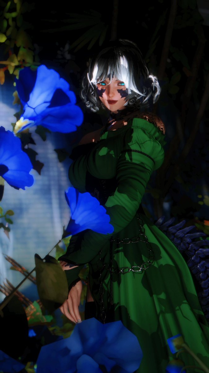 Meet me in the Woods