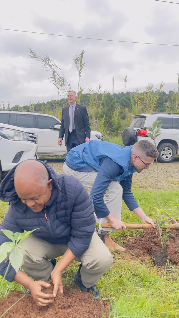 TeybaHassen's tweet image. “Planting for Revival”
As part of Ethiopia’s #GreenLegacy initiative and our #ClimateAction pledge at the #GlobalRefugeeForum, we joined donors, partners & refugees to plant indigenous & multipurpose seedlings—growing a greener, more inclusive future for all. 🌱🇪🇹