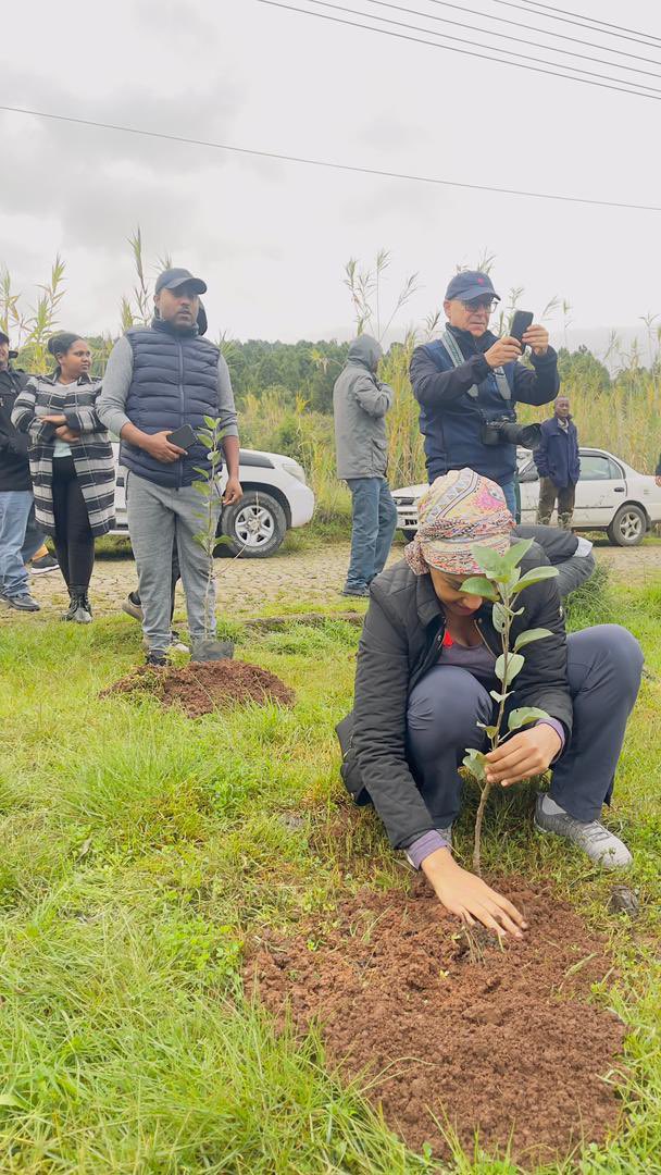 TeybaHassen's tweet image. “Planting for Revival”
As part of Ethiopia’s #GreenLegacy initiative and our #ClimateAction pledge at the #GlobalRefugeeForum, we joined donors, partners & refugees to plant indigenous & multipurpose seedlings—growing a greener, more inclusive future for all. 🌱🇪🇹