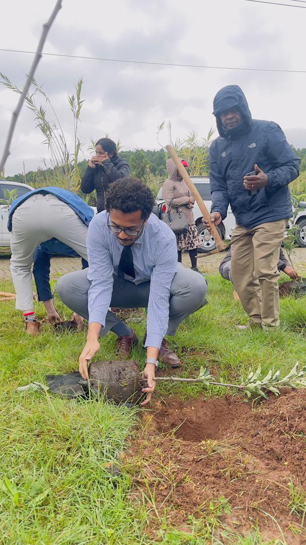 TeybaHassen's tweet image. “Planting for Revival”
As part of Ethiopia’s #GreenLegacy initiative and our #ClimateAction pledge at the #GlobalRefugeeForum, we joined donors, partners & refugees to plant indigenous & multipurpose seedlings—growing a greener, more inclusive future for all. 🌱🇪🇹