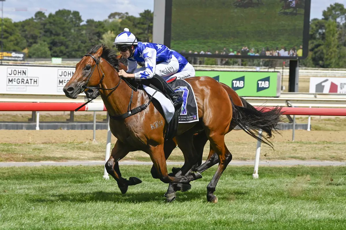Fact or fiction? Farnan 2YO colt King Of Pop sold for $800,000 as a yearling, then broke the track record in the 2025 G3 Black Opal Stakes.
 
#TheFarnanEffect