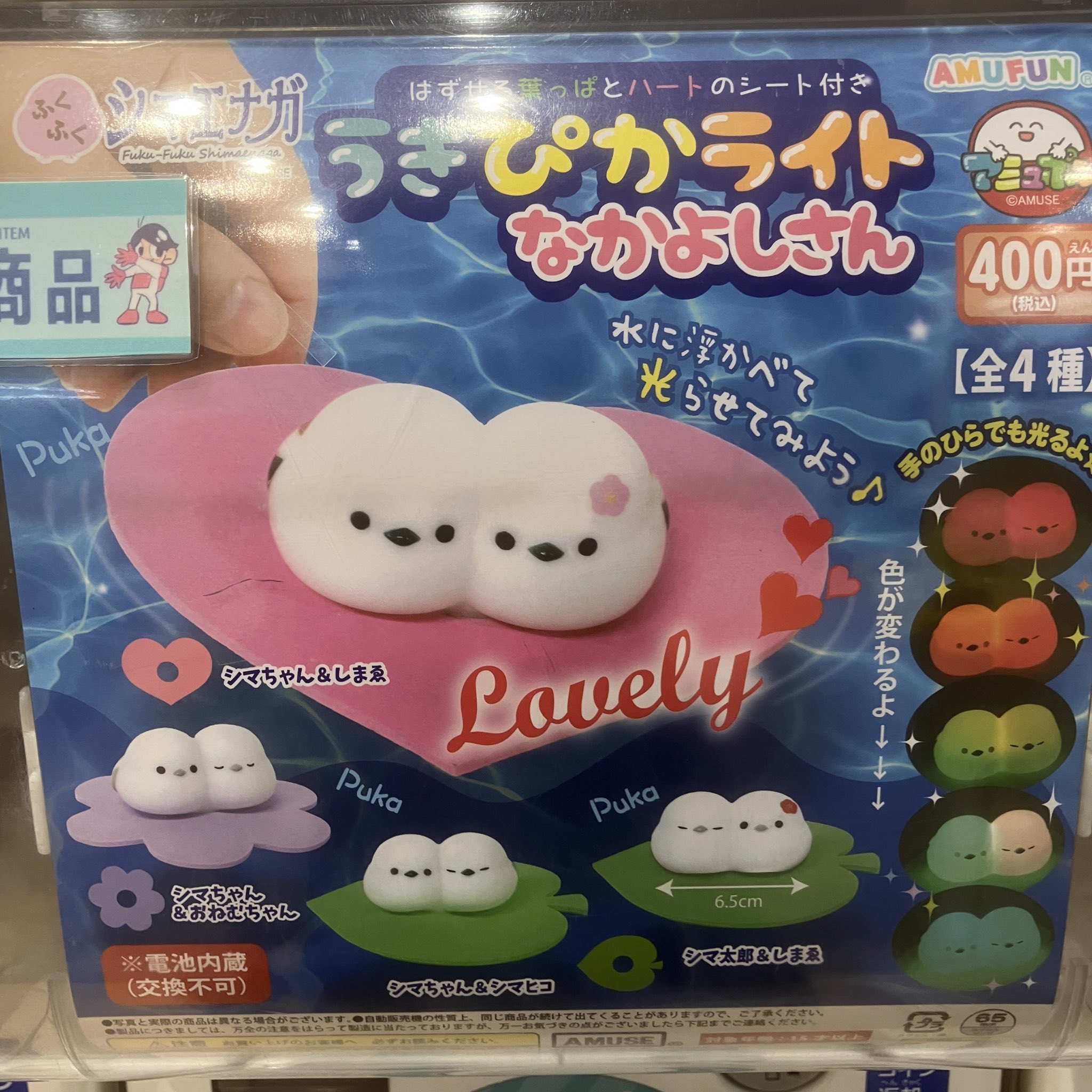 C-pla狸小路5丁目店【公式】 on X: 