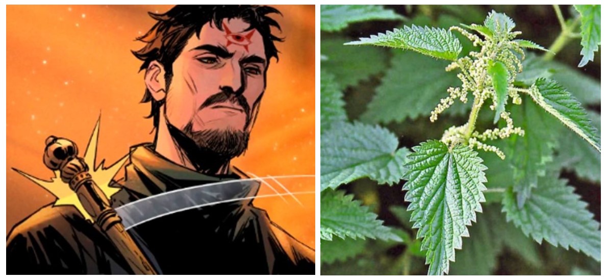 Василий - крапива
Вот это агрессивный ублюдок, бей его палкой.
>>