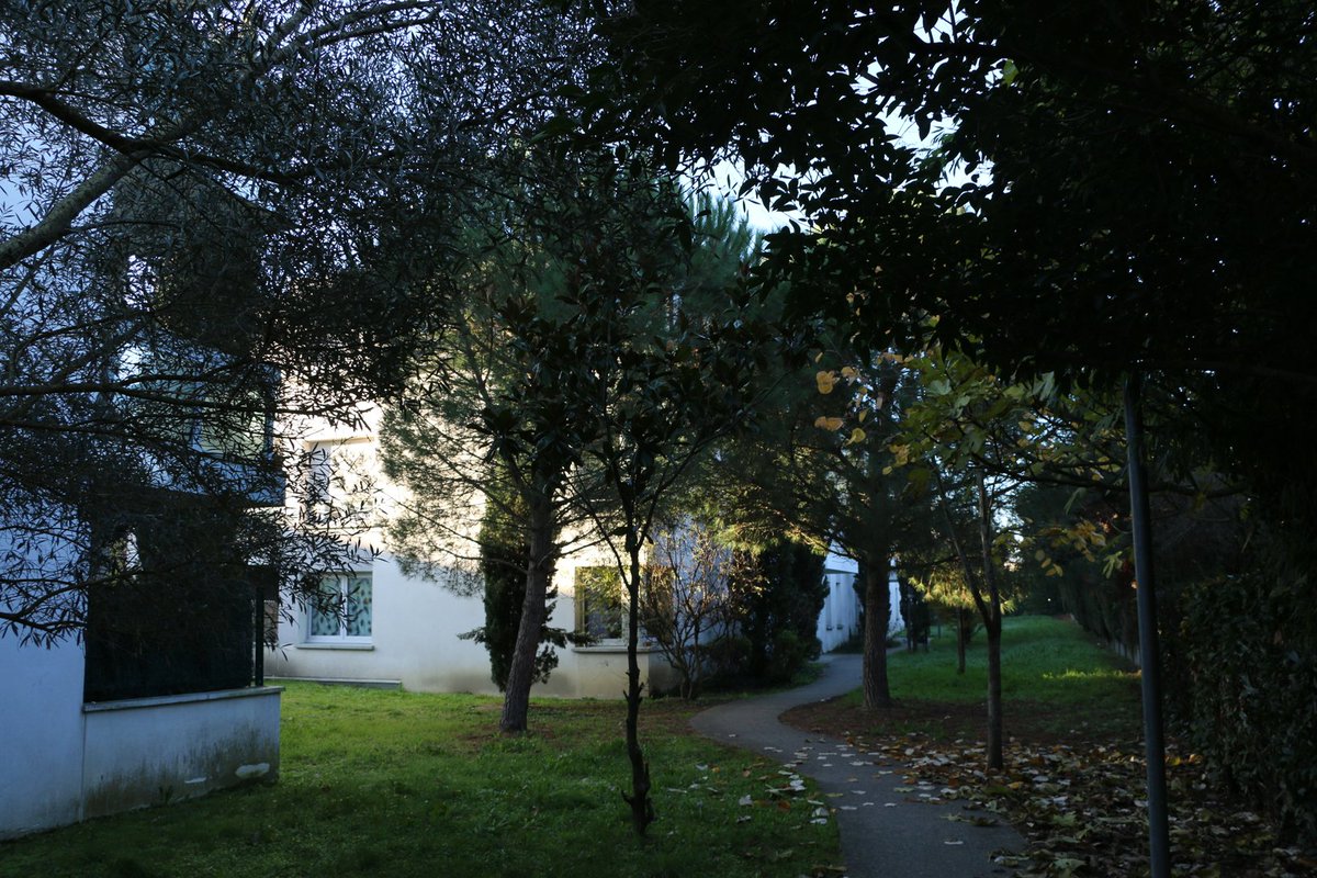 #FiersDeNosRésidences
Résidence Moulis 😋

À Lalande, entre Toulouse et Aucamville, cette résidence offre 45 logements avec balcon ou terrasse 🌿
Un cadre paisible, des sentiers arborés… et une histoire étonnante : elle a failli ne jamais rejoindre notre patrimoine !