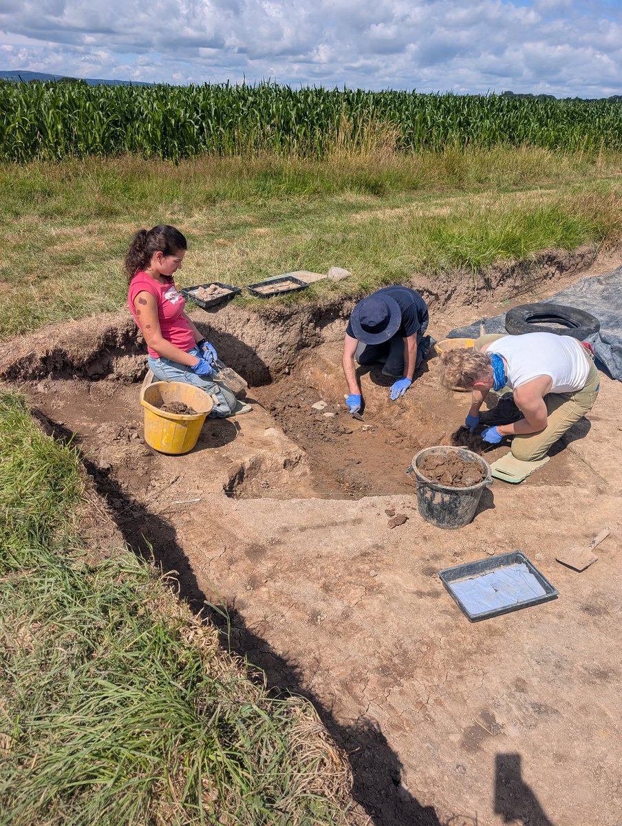 The Poulton Project tweet media