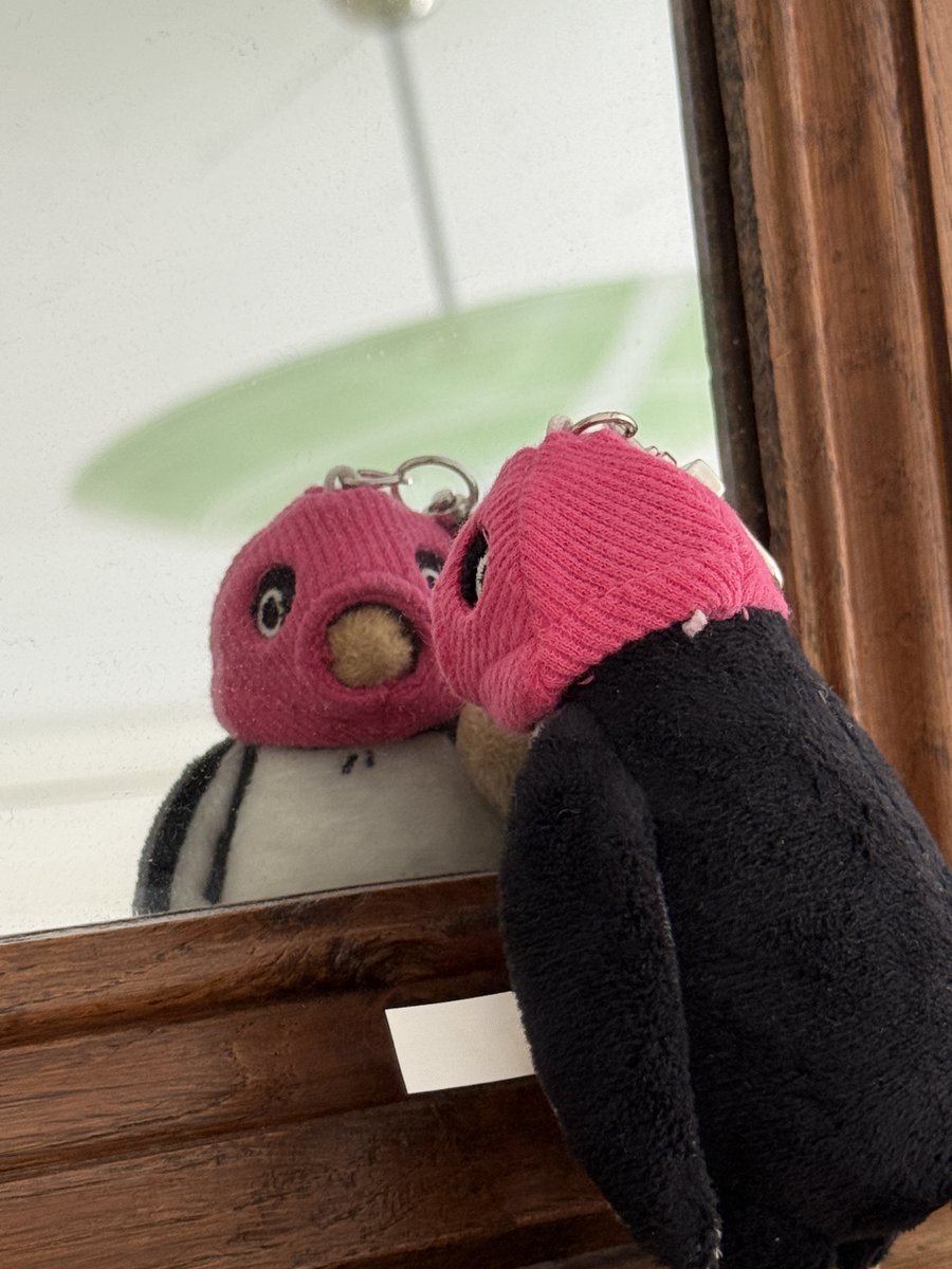 열심히 준비했던 것 하나가 더 공개되었네요!

좋은 기회를 얻어 휴휴(아이돌룩)와 함께 아대리 인형 키링 펀딩을 진행하게 되었습니다.
현재 공개 예정 프로젝트고 21일부터 진행될 예정인데요. 
얼리버드 선물로 얻을 수 있는 복면이 엄청 웃기니까 알림신청 부탁드려요!

tumblbug.com/huehue_adeli