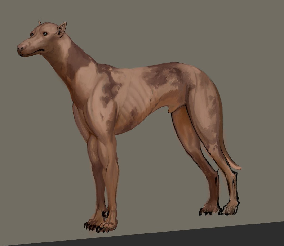 Necro_Archive's tweet image. In Necropolis, there are no surviving horses. Instead, dogs have been genetically modified into a sub-species called long-hounds, which fill many of the same niches horses once did. They are especially popular for traversing the difficult ashland terrain.