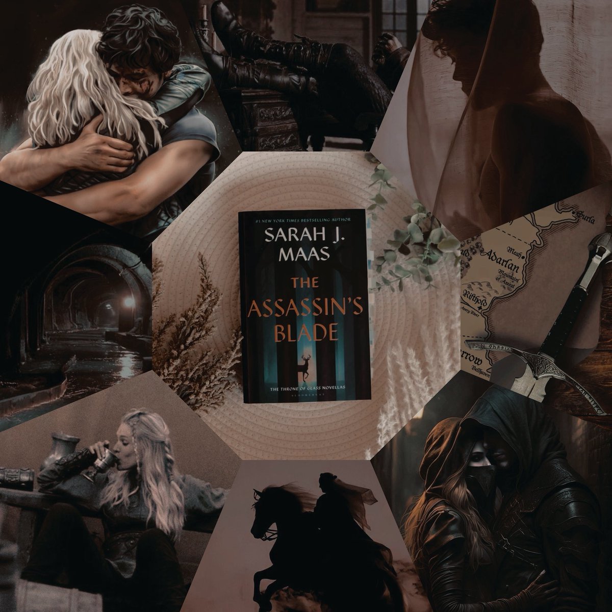literarylusting's tweet photo. 🌟3.5 — perfect prequel to jump in, it can get a bit difficult with all the jumping around plot wise but other than that i really love this book so so much. many tears were cried though. 
~~ #booktwt #BookLovers #throneofglass #togseries #sarahjmaas #sjmverse https://t.co/oF4p49QM2a