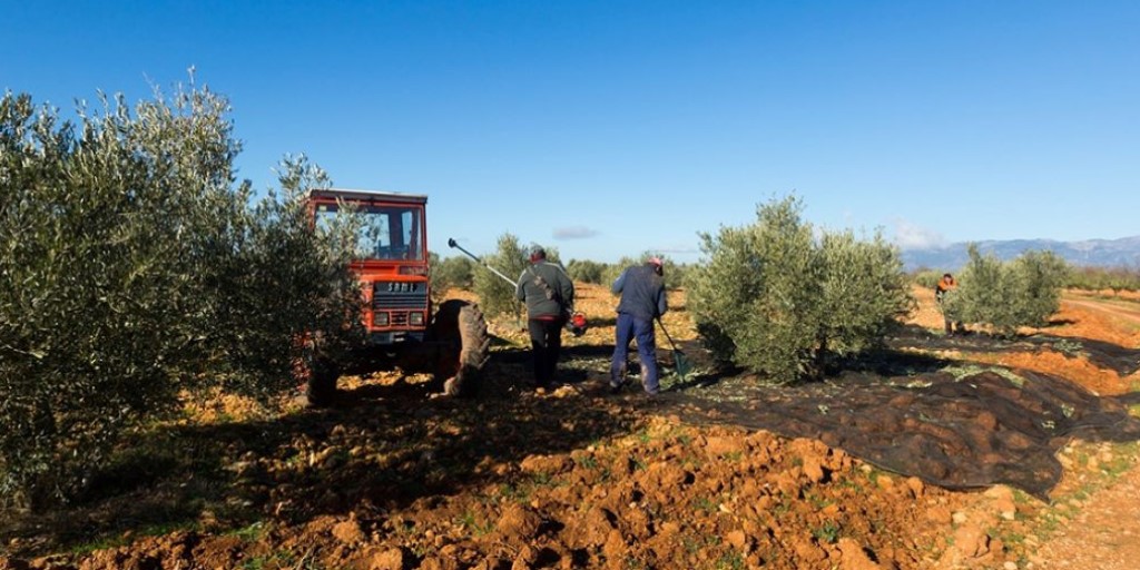 Servicios Junta de Andalucía (@serviciosand) on Twitter photo 🤔¿Conoces el Portal de Actividades de Formación y Transferencia del IFAPA?
Permite conocer sus Cursos y Jornadas y tramitar tu solicitud online
👩🌾👨🌾Herramienta fundamental para el apoyo al sector primario en #Andalucía
Accede👉lajunta.es/5n6in
#agricultura <a href="/AgriculturAnd/">Consejería AgriPesca</a> 🤔¿Conoces el Portal de Actividades de Formación y Transferencia del IFAPA?
Permite conocer sus Cursos y Jornadas y tramitar tu solicitud online
👩🌾👨🌾Herramienta fundamental para el apoyo al sector primario en #Andalucía
Accede👉lajunta.es/5n6in
#agricultura <a href="/AgriculturAnd/">Consejería AgriPesca</a>