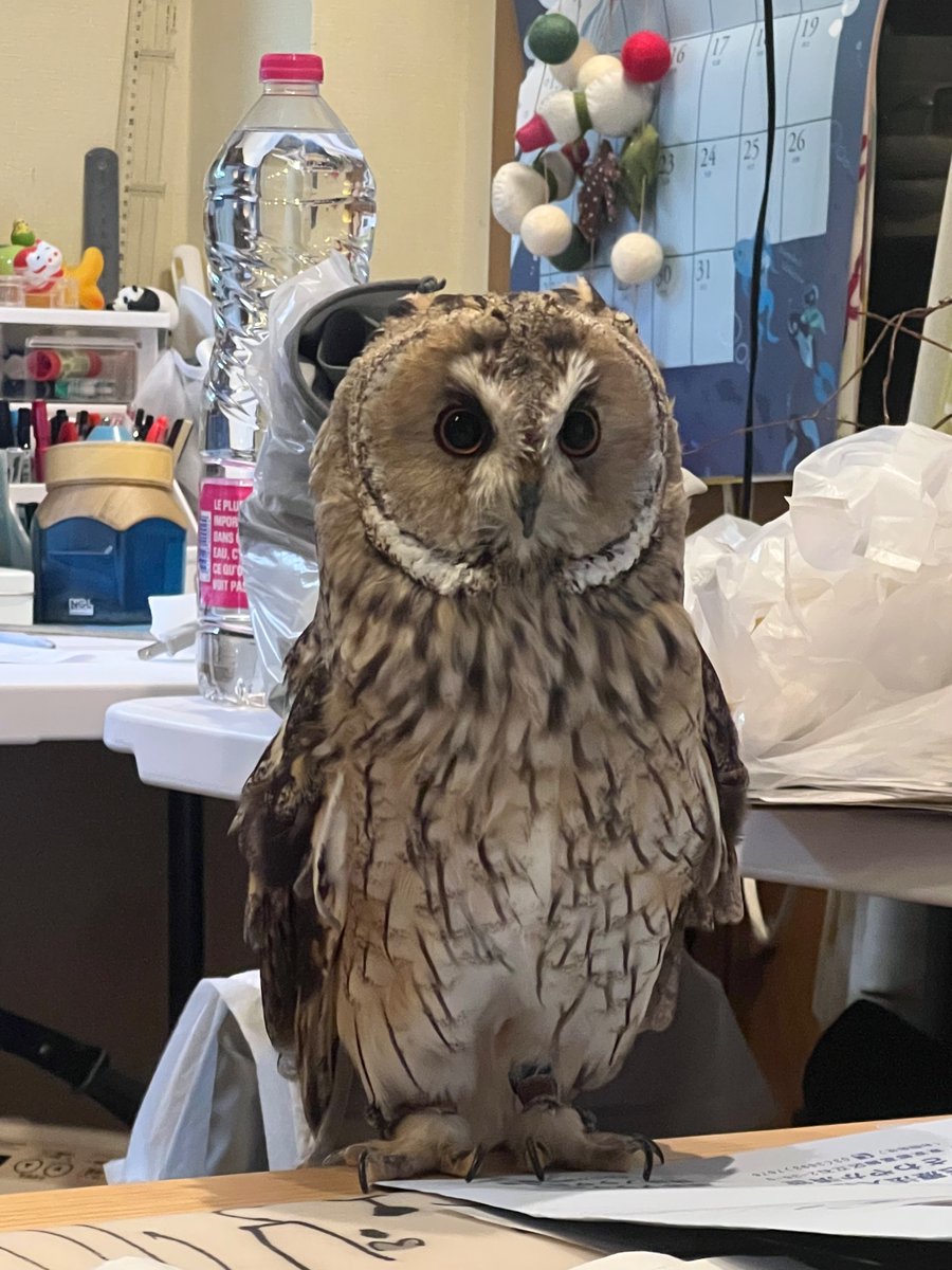 元気にしてます