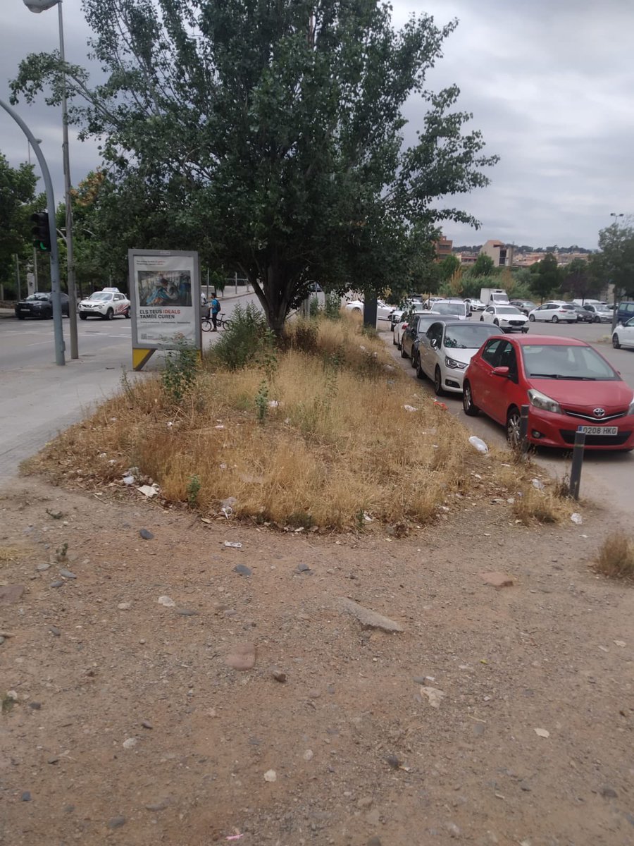 Monica Ribell Bachs 🎗 (@monicaribell) on Twitter photo Les neteges intensives no funcionen, o són parcials. La neteja a <a href="/granollers/">Granollers</a> és una urgència. Les queixes reiterades de l’oposició a la comissió d,urbanisme s.han de fer públiques Les neteges intensives no funcionen, o són parcials. La neteja a <a href="/granollers/">Granollers</a> és una urgència. Les queixes reiterades de l’oposició a la comissió d,urbanisme s.han de fer públiques