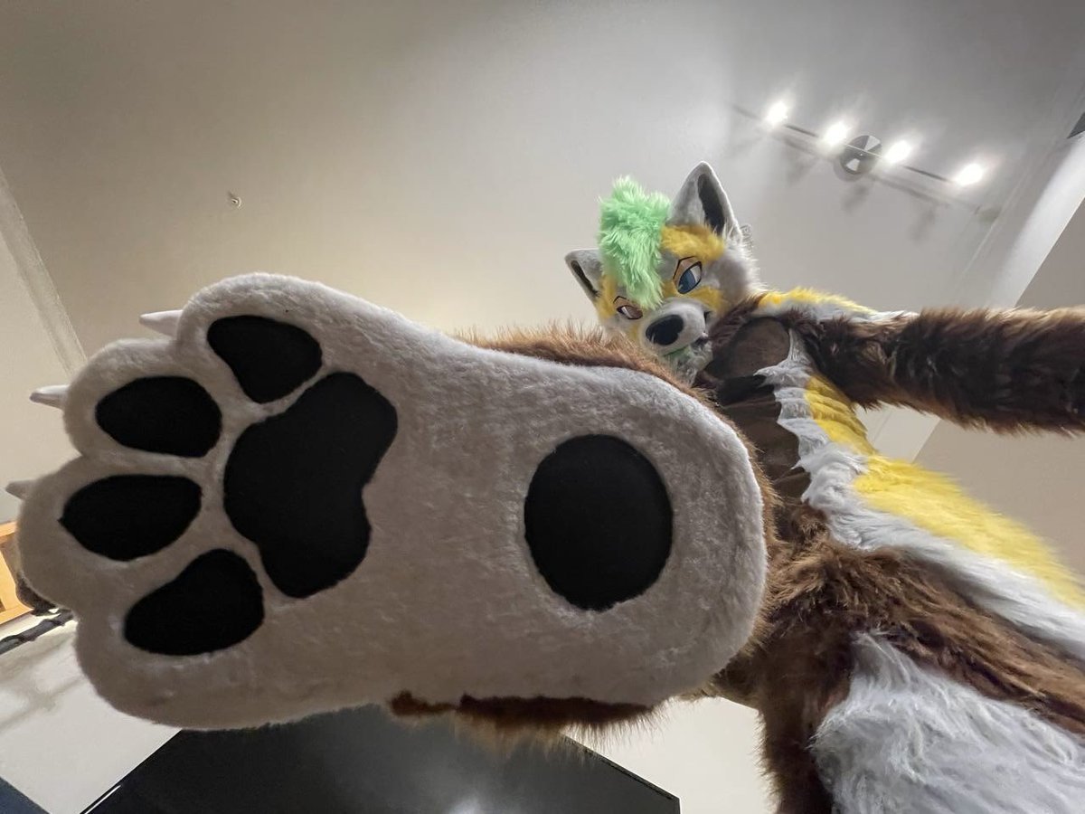 JakuzziRedPanda's tweet image. Hey there 👋🏻 I’m the new, slightly scrunkly, wah on the block!
🪡: @kigurumikagetsu
Thank you so much for bringing my red panda boy to life &lt;3