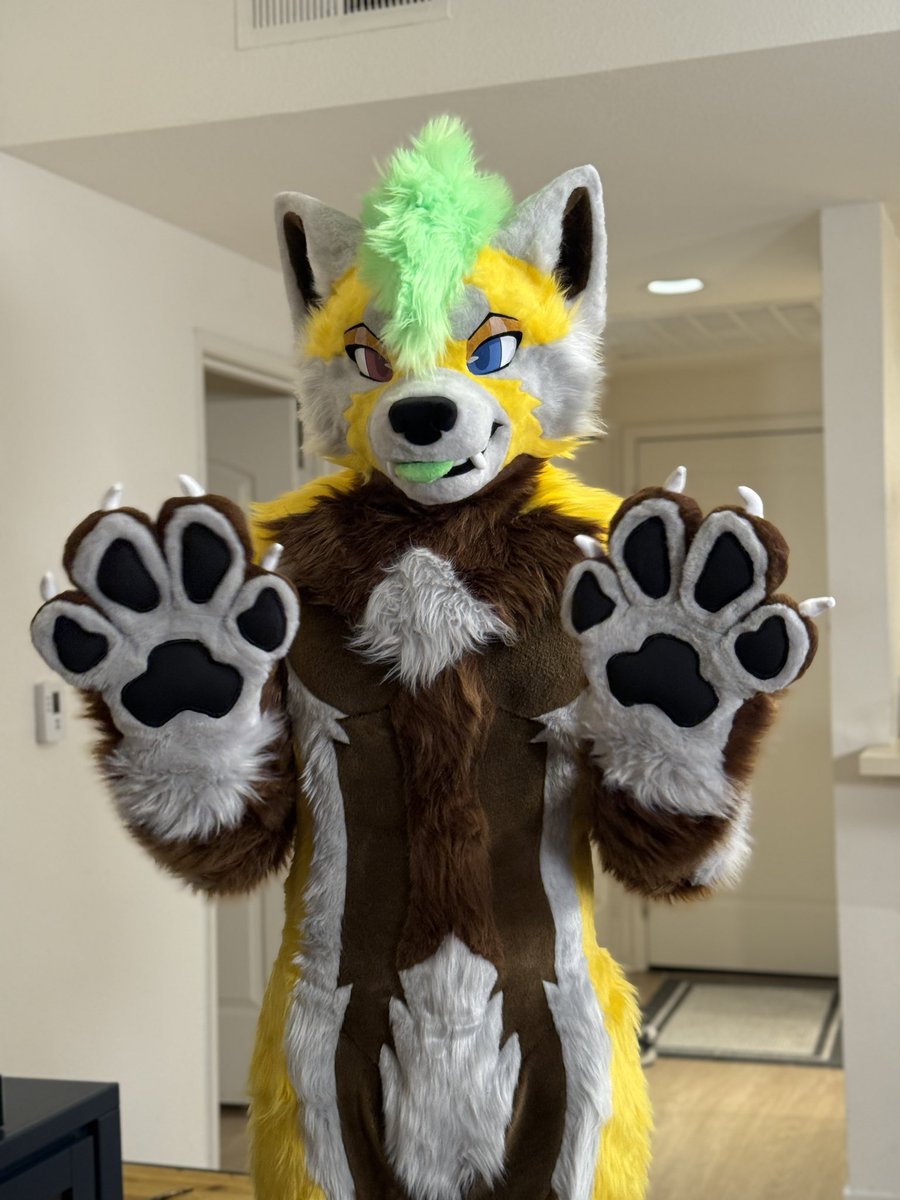 JakuzziRedPanda's tweet image. Hey there 👋🏻 I’m the new, slightly scrunkly, wah on the block!
🪡: @kigurumikagetsu
Thank you so much for bringing my red panda boy to life &lt;3