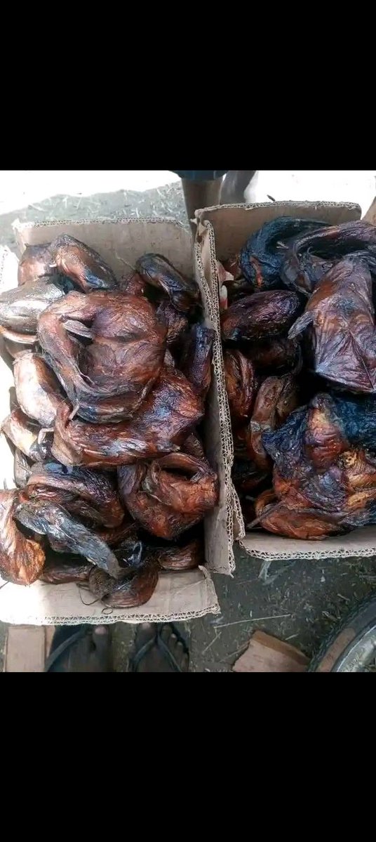 Dan_kifi's tweet image. Best fish vendor you can find on X @KIFI_HDJ @Dan_kifi
ASA
CATFISH AND
MANGALA.
Grammy davido idolo I affirm Madueke Rudiger inter Miami GM CT Alonso #GalaxyAI pray for Chelsea Real madrid 4-0 Dembele PSGRMA